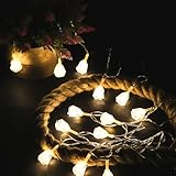 Lexton Fairy 14 Roses LED String Light | 14 LED, Plug Sourced, 4 Meter Long Rs. 69 – Amazon
