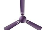 RR Signature Triana 1200MM 2 Star BEE Certified Energy Efficient 50-Watt High-Speed Ceiling Fan For Home and Office (Lavender) Rs. 1999 – Amazon