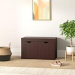 Amazon Brand – Solimo Sauron Engineered Wood 2 Door Shoe Rack (Wenge finish) Rs. 3409 – Amazon