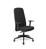 SOS Spacewood LiteOffice Aura High Back Nylon Base Ergonomic Office Chair (Black) Rs. 5020 – Amazon