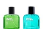 Wild Stone Forest Spice & Edge Long Lasting Perfume Spray Combo For Men, Pack Of 2 (30ml Each) Gift For Him Rs. 299 – Amazon