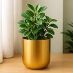ecofynd 4.3 inches Round Metal Planter for Home Decor, Pack of 1 (Gold) Rs. 199 – Amazon