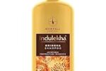 Indulekha Bringha Shampoo 1L|| Proprietary Ayurvedic Medicine for Hairfall|| 1L Rs. 587 – Amazon