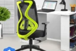 ASTRIDE Ergofit Ergonomic Chair 2D Headrest