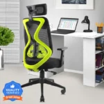 ASTRIDE Ergofit Ergonomic Chair 2D Headrest