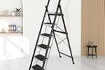 Plantex Ladder for Home/6 Step Steel Ladder