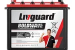Livguard 3 Year Warranty Tubular Inverter Battery(150 Ah, BW15036TT)