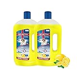 Tri-Activ Double Strong Disinfectant Floor Cleaner (1000ml x 2 Units)