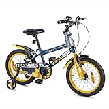Lifelong Strong 16T SS Kids’ Cycle for Ages 4-7 | Steel Frame