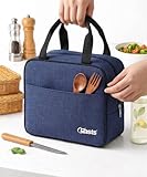 Insulated Travel Lunch/Tiffin/Storage Bag