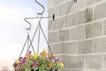 TrustBasket Angus Wall Bracket for Hanging Planter (Pack of 5)