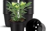 Plastic Flower Pots 3 Inch | Black Nursery Plant Pots | Pack of 40