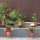 TrustBasket Eclips Plant Stands Blue (Set of 6)