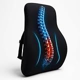 Voltonix Memory Foam Car Seat Back Support