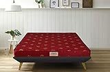 Springtek Amaze Eco Premium High Density Foam Mattress | 6 Inches | 72×60 Inches