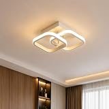 Desidiya 22W Modern LED Ceiling Light, 2 Square Flush Mount