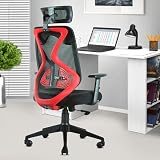 ASTRIDE Ergofit Ergonomic Office Chair for Home