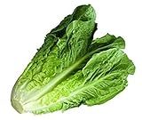 Fresh Lettuce, Romaine, 1 Piece (100g-150g)